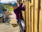 Junior Tree Tops Trail Heatherton World of Activities, Tenby, Pembrokeshire - climbing wall